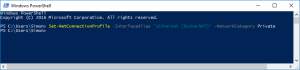 Windows PowerShell - showing the command to make the Docker network "(vEthernet (DockerNAT)" private.